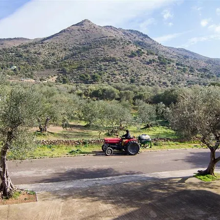 Apartment Rescator 222 Roses